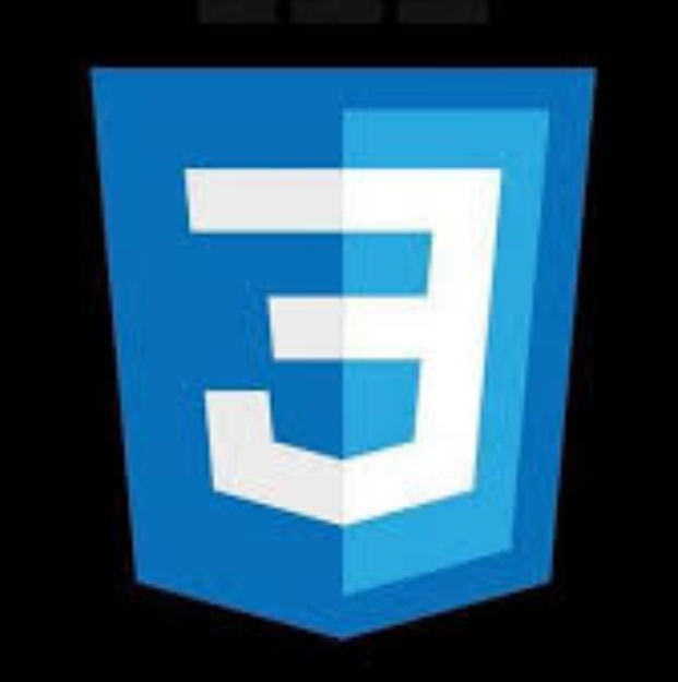 CSS3 Logo