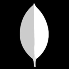 MongoDB Logo